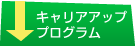 キャリアアッププログラム